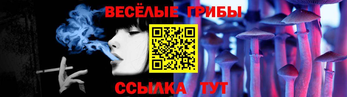 Кудымкар  Псилоцибиновые грибы мухоморы  Вход с VPN 
